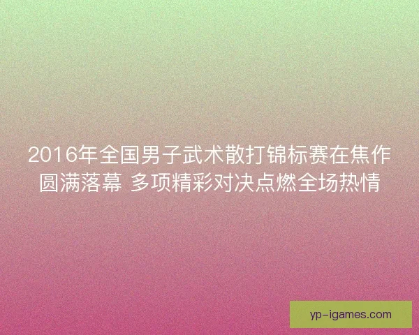 2016年全国男子武术散打锦标赛在焦作圆满落幕 多项精彩对决点燃全场热情